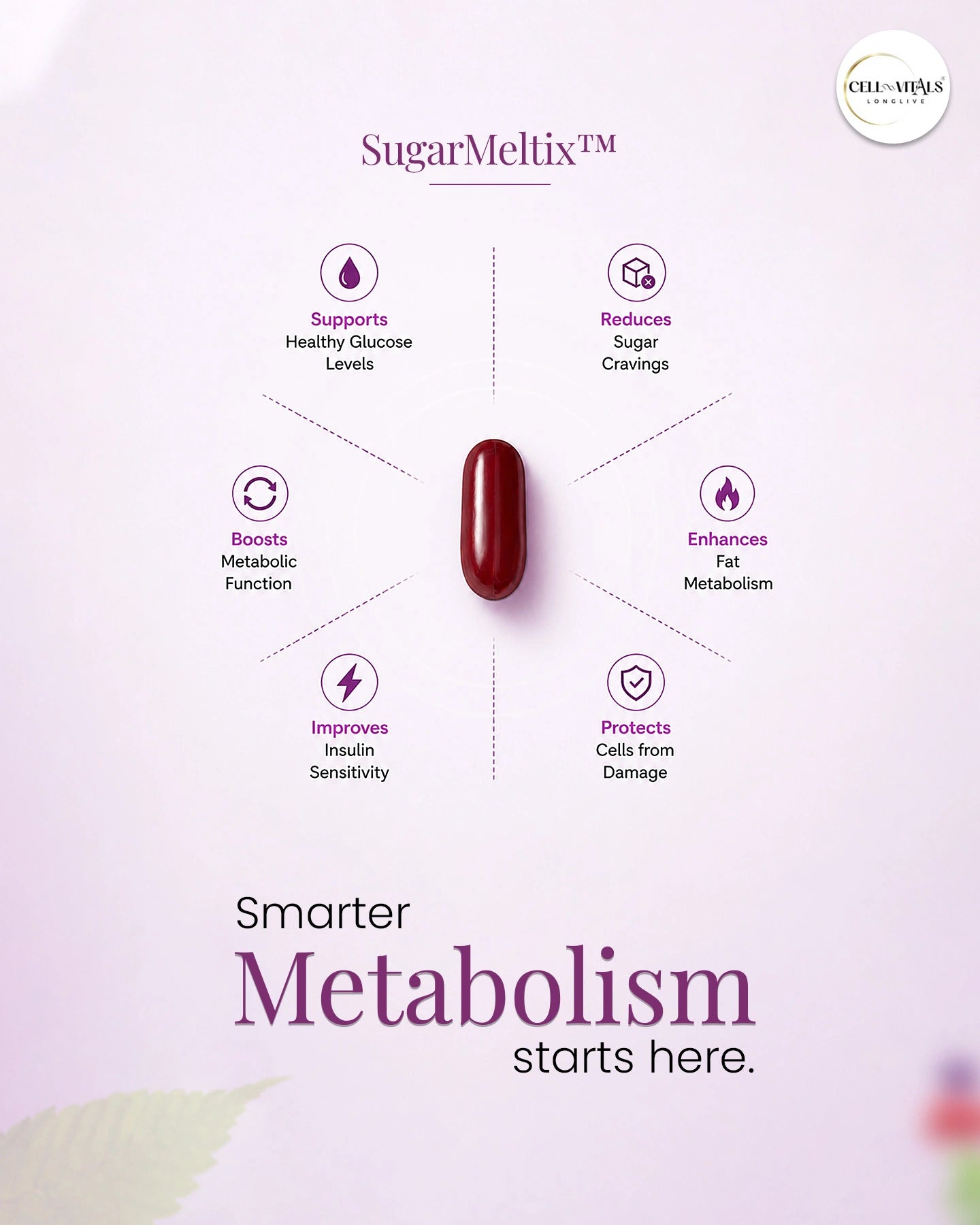 SugarMeltix™️ | Blood Sugar and Metabolic Support