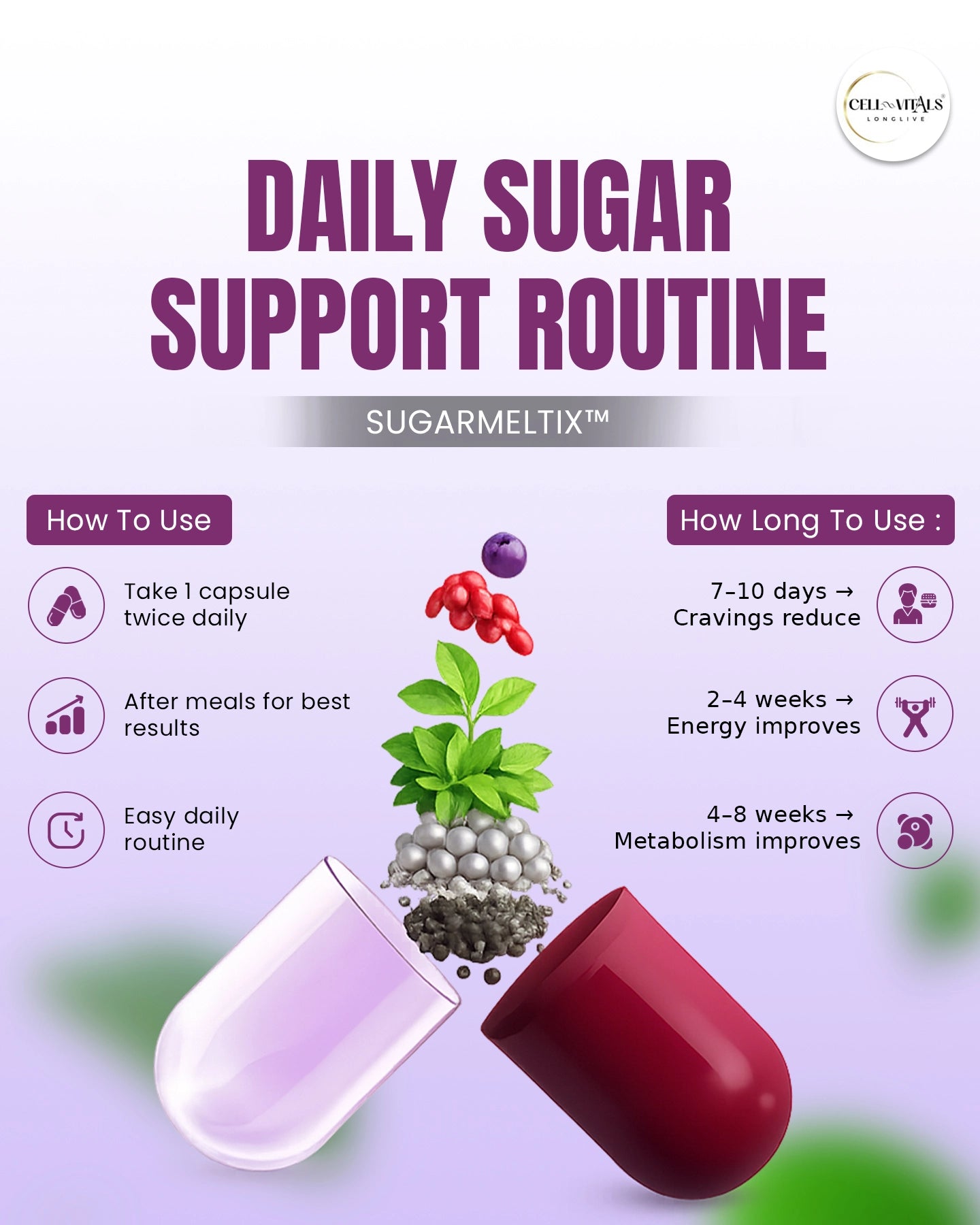 SugarMeltix™️ | Blood Sugar and Metabolic Support