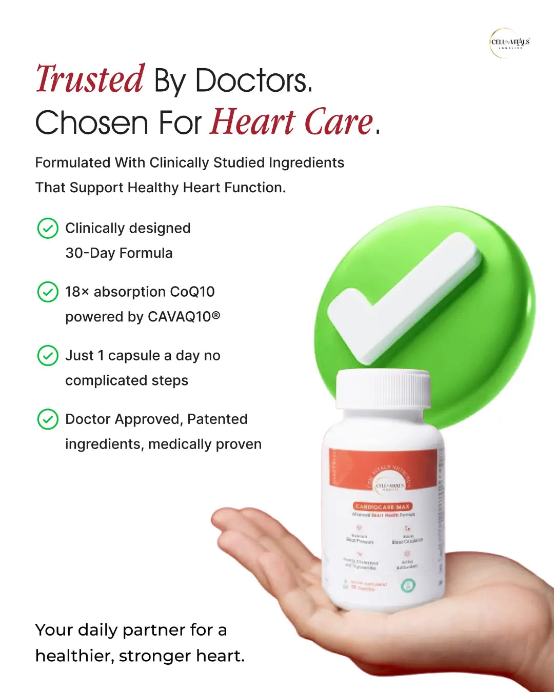 CardioCare Max — 1-Capsule Heart Support (Patented Ingredients)