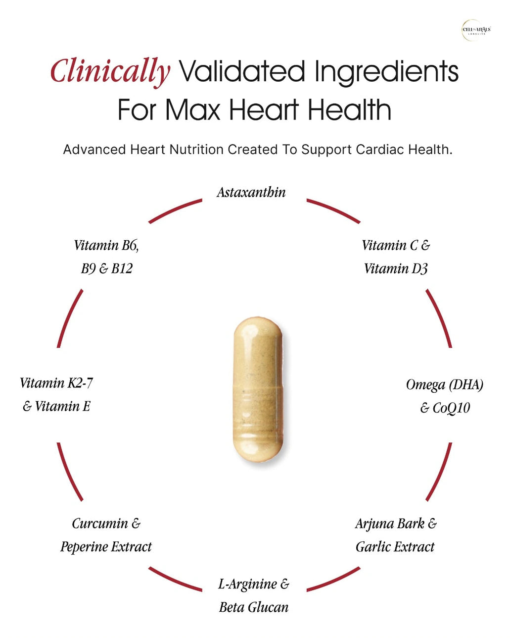CardioCare Max — 1-Capsule Heart Support (Patented Ingredients)