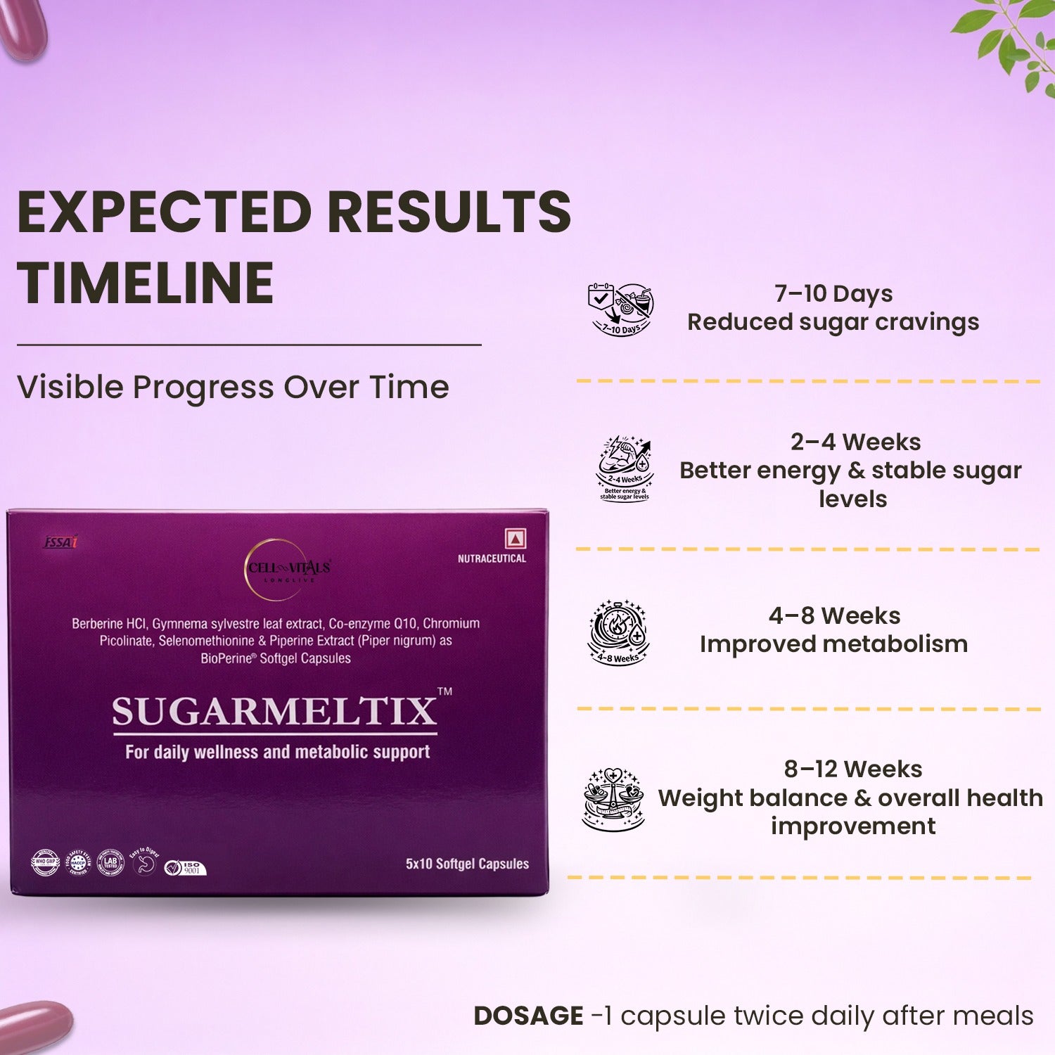 SugarMeltix™️ | Blood Sugar and Metabolic Support