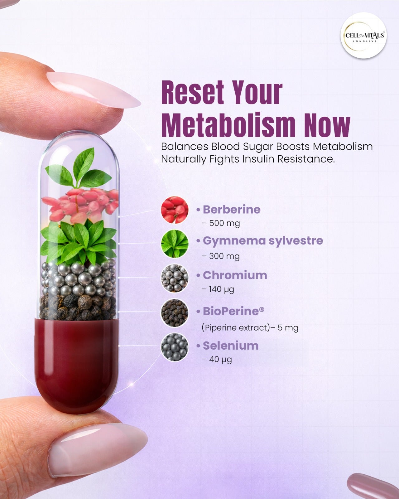SugarMeltix™️ | Blood Sugar and Metabolic Support